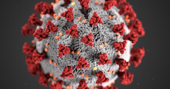 Coronavirus Update- उत्तराखंड का हेल्थ बुलेटिन हुआ जारी.. पढ़े आज की रिपोर्ट…