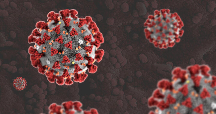 Coronavirus- उत्तराखंड, आज का हेल्थ बुलेटिन जारी देखिए corona जांच की अपडेट…..