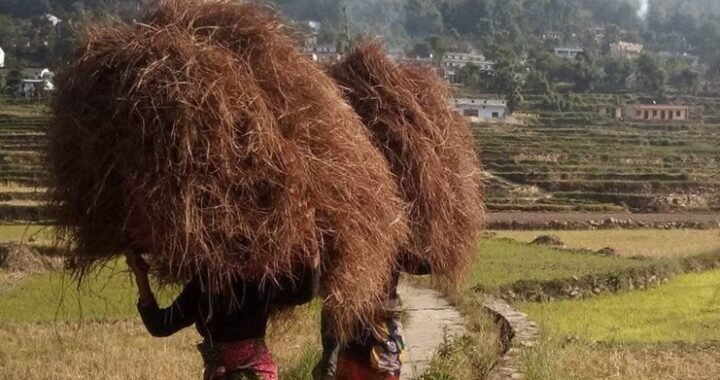 ‘बात पहाड़ की’ लोकगायक बीके सामंत की कलम से (भाग 2)