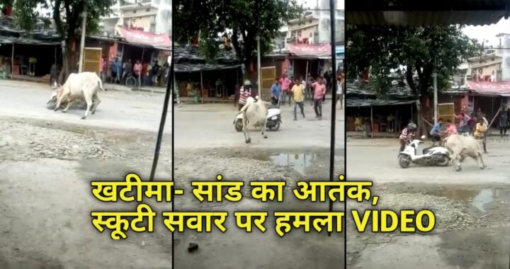 उत्तराखंड- यहां बीच बाजार में सांड ने मचाया तांडव, स्कूटी पर किया हमला देखिए VIDEO