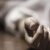 नैनीतालः नौ दिन पहले लापता हुई थी किशोरी, इस हाल में मिली लाश