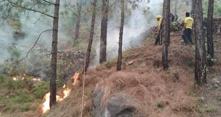 उत्तराखंड- यहां जंगल में आग बुझाने गए दो वन कर्मियों के साथ हादसा, दोनों की मौत, परिजनों में कोहराम