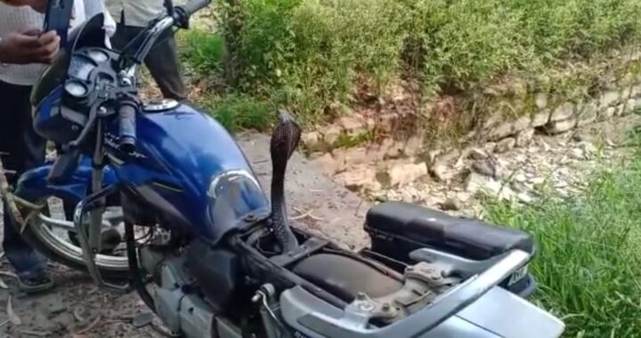 उत्तराखंड- यहां बाइक की सीट के नीचे निकला कोबरा नाग, बाइक सवार के फूले हाथ पैर, Video