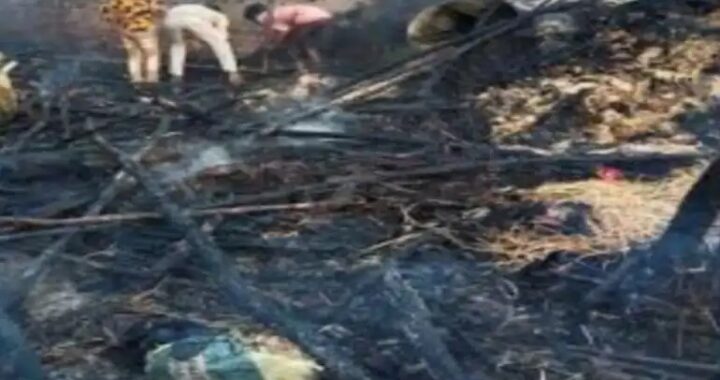 उत्तराखंड- यहां गौशाला में लगी आग, 47 बकरियों की जलकर मौत