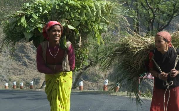 उत्तराखंड- (Good News) पहाड़ की 3 लाख महिलाओं को इस योजना से घास के बोझ से मिलेगा छुटकारा