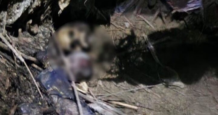 उत्तराखंडः (बड़ी खबर)- यहां खाई में मिले युवक-युवती के कंकाल, इलाके में फैली सनसनी