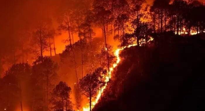 उत्तराखंड – यहां जंगलों की आग ने ली ग्रामीण महिला की जान