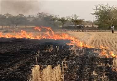 उत्तराखंड – यहां खेत की परली और गन्ने की पत्तियां जलाने पर DM ने लगाया प्रतिबंध