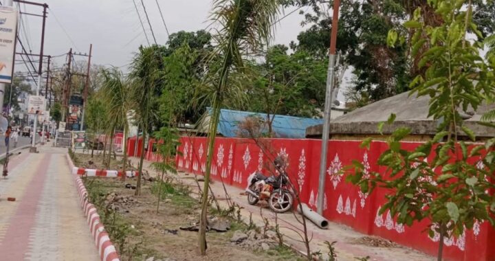 हल्द्वानी : डीएम वंदना के निर्देश पर हल्द्वानी में लग रहे एक हजार बृक्ष