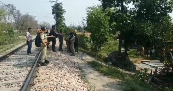 लालकुआं:  मुक्तिधाम के पास ट्रेन से कटकर हाथी की मौत