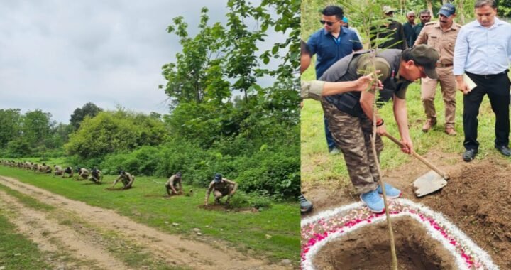 उत्तराखंड: जंगली जानवरों के लिए भोजन की मुहीम, CM ने एक हजार फलदार पौधे लगाकर की शुरुआत