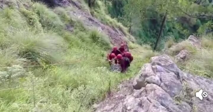 उत्तराखंड : घास लेने गई महिला की खाई में गिरकर दर्दनाक मौत,गांव में शोक की लहर