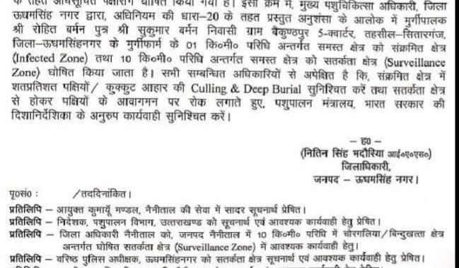 उधम सिंह नगर: यहां पोल्ट्री फार्म की मुर्गियों में बर्ड फ्लू की पुष्टि