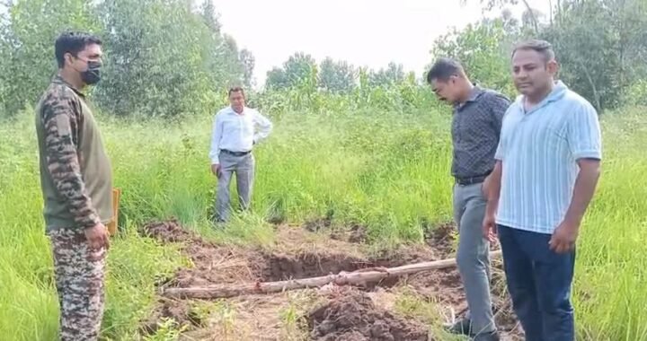 उत्तराखंड: यहां क्रूरता की हदें पार : पत्थरों से पीटकर की विशालकाय अजगर की हत्या