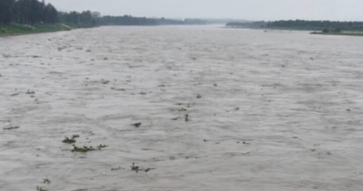 उत्तराखंड: हरिद्वार में गंगा चेतावनी स्तर से ऊपर, टिहरी डैम से छोड़ा जा रहा पानी Video