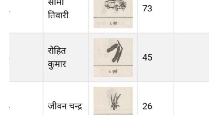 नैनीताल : यहां खुद बचाई प्रत्याशी ने अपनी इज्जत, केवल अपना ही वोट मिला