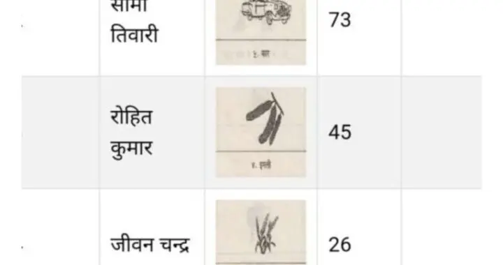 नैनीताल : यहां खुद बचाई प्रत्याशी ने अपनी इज्जत, केवल अपना ही वोट मिला