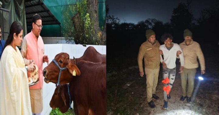 उत्तराखंड: देवभूमि में गौसंरक्षण को लेकर धामी सरकार का बड़ा एक्शन !