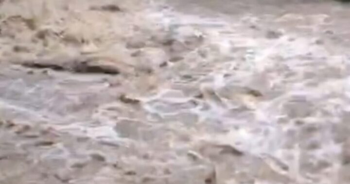 उत्तराखंड: यहां बाइक समेत गदेरे में बहा वन दरोगा, सर्च अभियान जारी