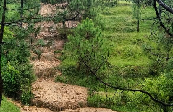 सोमेश्वर: पत्रकार जीवन राज के गांव में हुआ भारी भूस्खलन, बाल बाल बचे परिवार के सदस्य