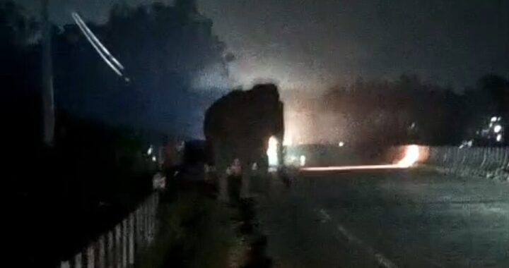 हल्द्वानी : हल्दूचौड़ में हाथियों का आतंक, राष्ट्रीय राजमार्ग पर हड़कंप