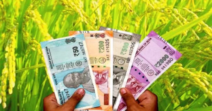 उत्तराखंड: अब किसानों को 72 घंटे में मिलेगा फसल का पैसा, जानिए कैसे!