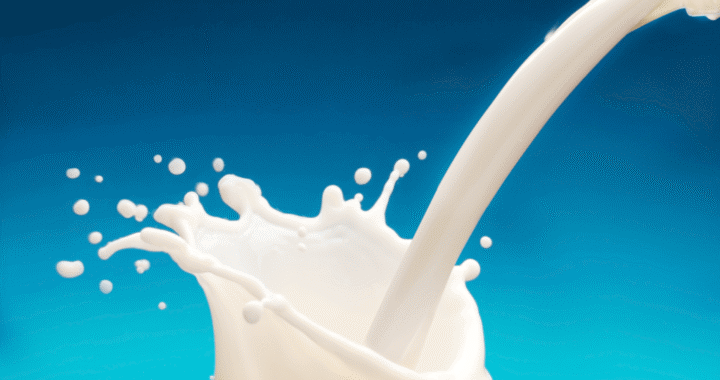 हल्द्वानी : दूध सहित अन्य दुग्ध पदार्थों के रेट में आई कमी