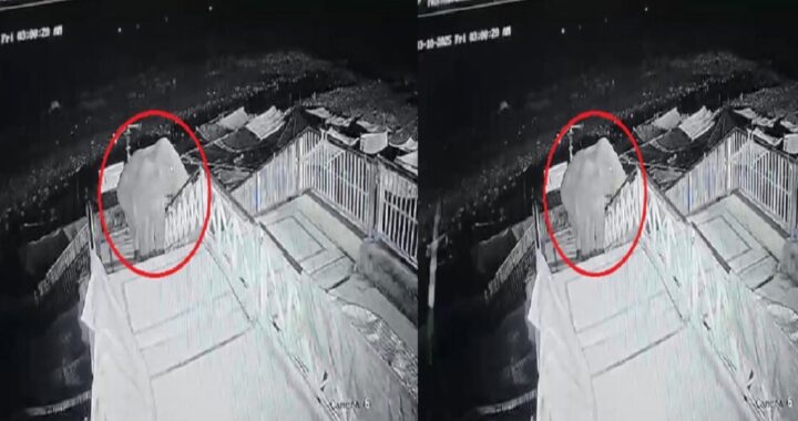 उत्तराखंड: गर्जिया मंदिर में पहली बार चढ़ा हाथी, देर रात दो घंटे तक मचाया उत्पाद