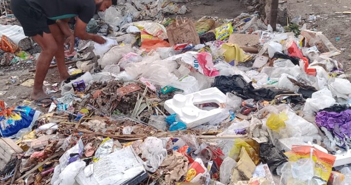 हल्द्वानी : (बड़ी खबर) DM रयाल के निर्देश पर चलाए गए विशेष स्वच्छता अभियान में निकायों ने उठाया 1000 मेट्रिक टन कूड़ा