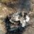 उत्तराखंड: (दुखद) हादसे में परिवार तबाह, खाई में गिरी कार, ईई, पत्नी और बेटे की मौत