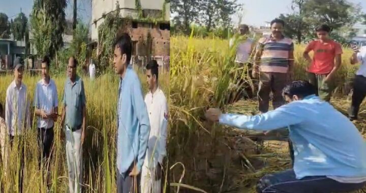 उत्तराखंड: यहाँ जिलाधिकारी ने खुद काटी धान की फसल