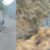 उत्तराखंड: यहाँ चलते वाहन में लगी भीषण आग