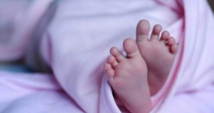 उत्तराखंड : यहां नवजात का सिर मिलने से मचा हड़कंप, DNA सैंपल के लिए भेजा गया,जांच जारी