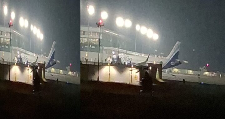 उत्तराखंड: मुंबई से देहारादून आ रही इंडिगो की फ्लाइट पक्षी से टकराई