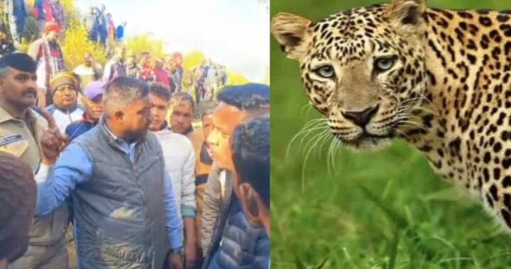 उत्तराखंड: पहाड़ में कौन बचाए, एक और ग्रामीण को गुलदार ने मार डाला