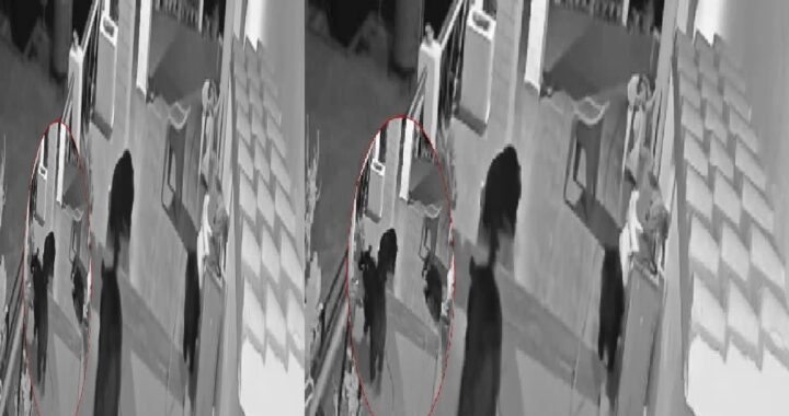 उत्तराखंड : भालुओं का आतंक बढ़ा, घरों में घुस रहे भालू और उनके बच्चे