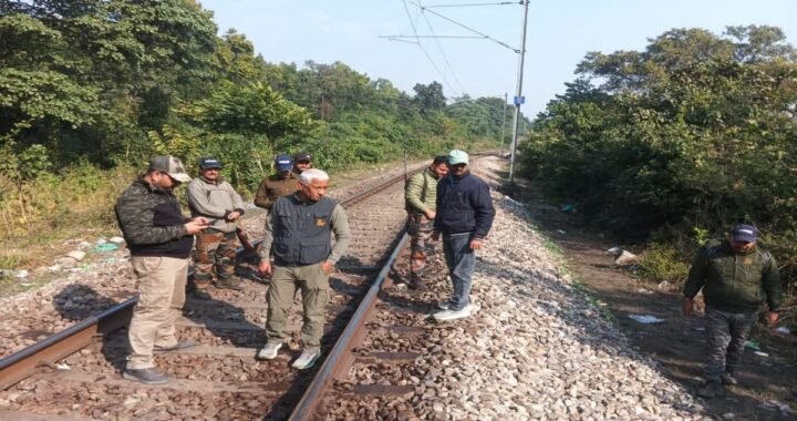 उत्तराखंड: हावड़ा एक्सप्रेस से शिशु हाथी की मौत, ट्रेन चालक हिरासत में