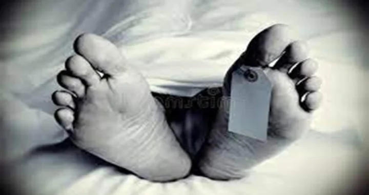 हल्द्वानी: यहां भीषण सड़क हादसा, एक की मौत, दो गंभीर घायल