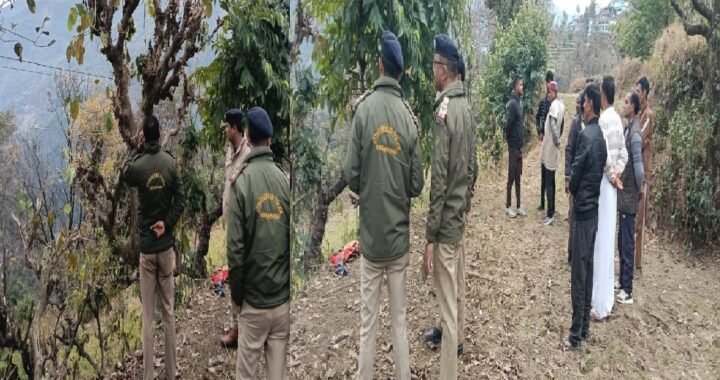 उत्तराखंड: यहाँ पेड़ पर चढ़कर चारा काट रही महिला को करंट लगा, मौके पर मौत !