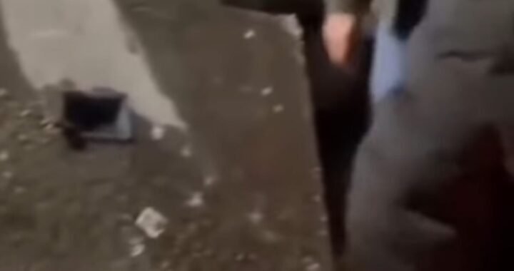 उत्तराखंड: यहां बड़ा हादसा, सीवर लाइन के लिए रखे भारी पत्थर के नीचे दबा बच्चा