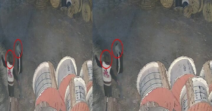 उत्तराखंड: UPCL RDSS स्टोर में एक रात में दो बार चोरी का प्रयास