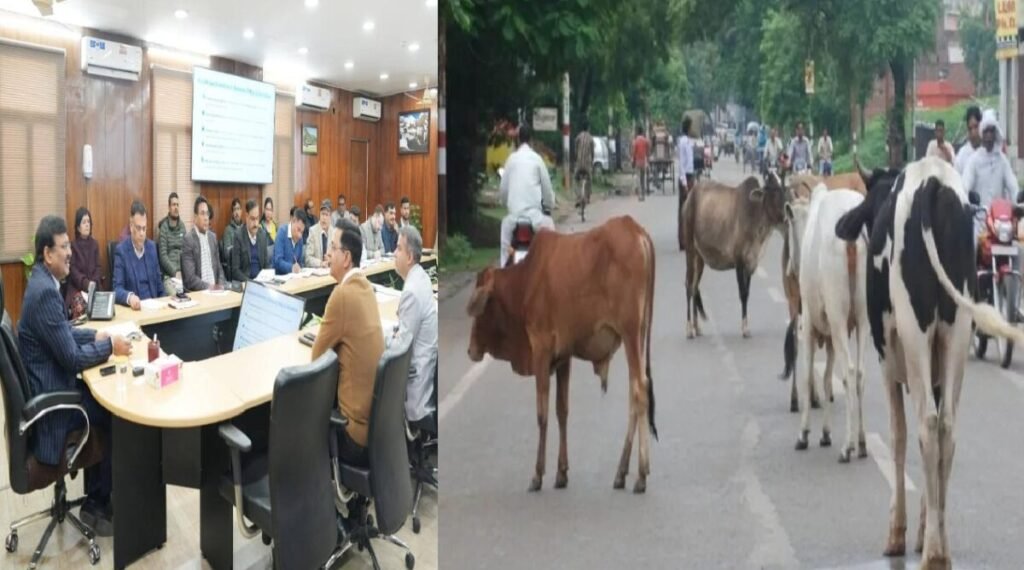 Uttarakhand government