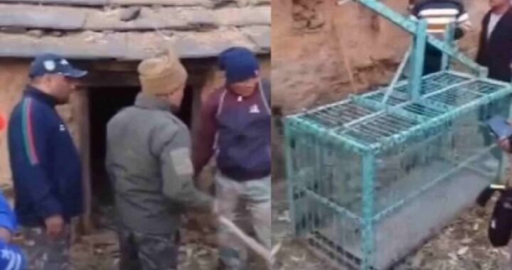 उत्तराखंड: यहाँ ग्रामीणों ने वनकर्मियों को बनाया बंधक