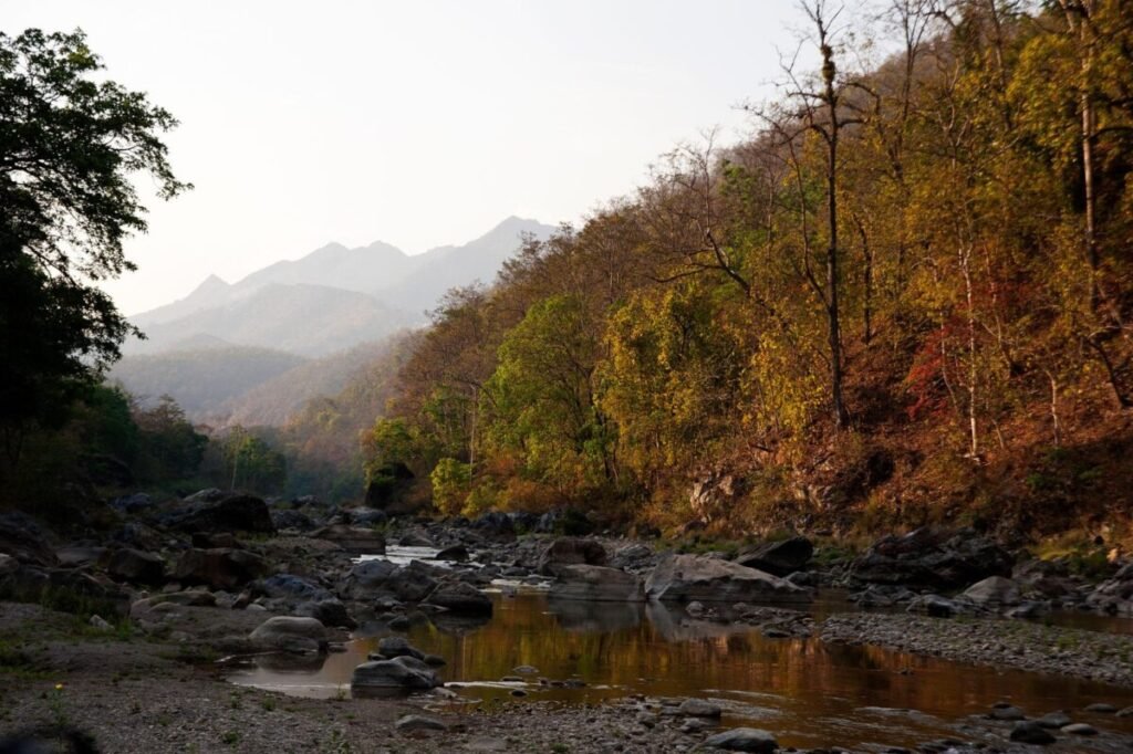 Corbett Tiger Reserve