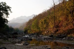 उत्तराखंड: कॉर्बेट सफारी में मोबाइल फोन बैन, सुप्रीम कोर्ट के आदेश पर लागू हुआ नया नियम