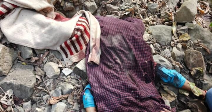 हल्द्वानी: फतेहपुर वन क्षेत्र में बाघ के हमले से महिला की मौत