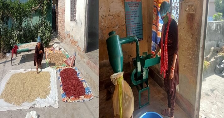 उत्तराखंड: सरकारी सहयोग से आत्मनिर्भर बनी प्रीति सैनी, घर से शुरू किया सफल कारोबार