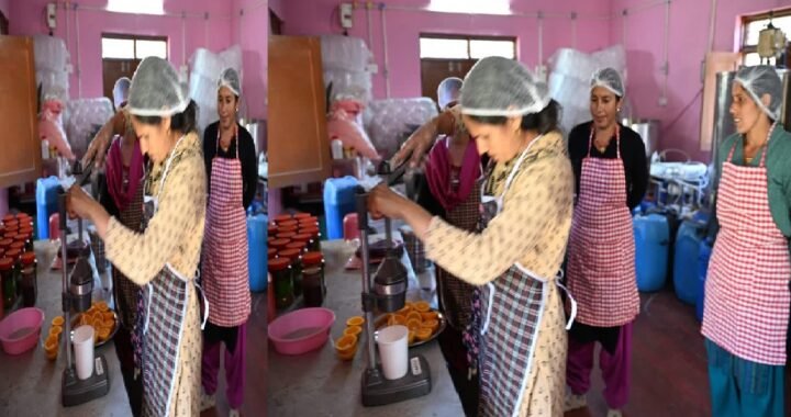 उत्तराखंड की महिलाओं ने किया कमाल, पहाड़ी उत्पादों से बन रहीं आत्मनिर्भर