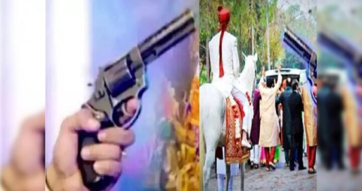 नैनीताल : DM रयाल के सख्त एक्शन जारी, एक और शस्त्र लाइसेंस निरस्त