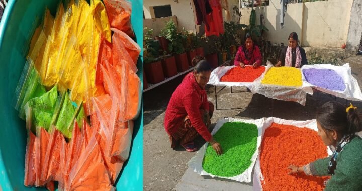 उत्तराखंड: केमिकल रंगों को कहा अलविदा, गांव की महिलाओं ने शुरू किया हर्बल रंगों का बिज़नेस